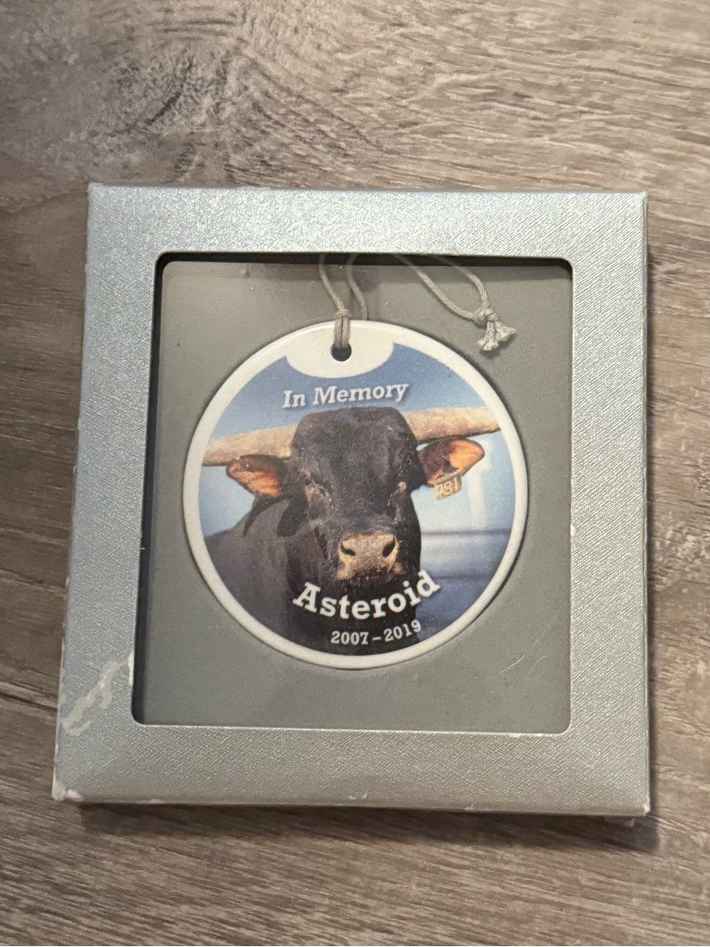 PBR Asteroid Bull Rodeo Ornament Chad Berger Autographed Collectible Christmas